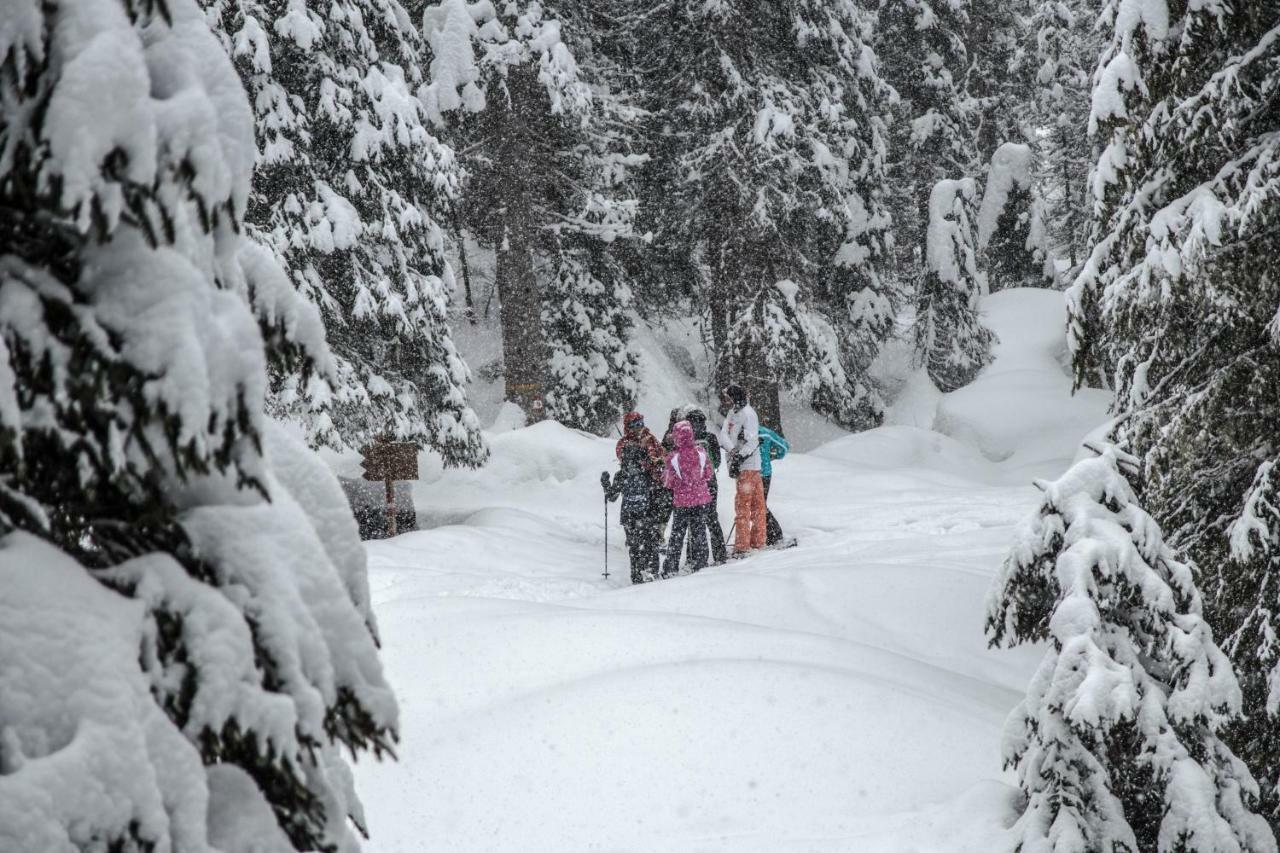 Apartmán Ai Piedi Della Marmolada Canazei Exteriér fotografie